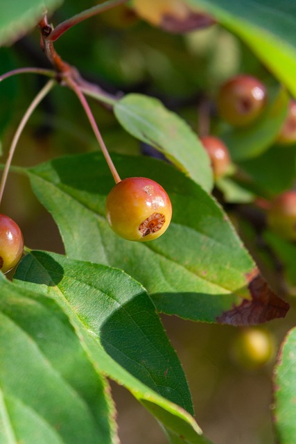 梅里诺：非常感谢香港；相信哲凯赖什很快就能帮助球队